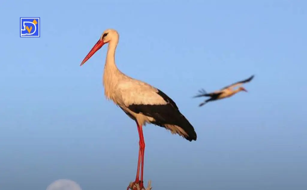 IMG_20260213_000428_788