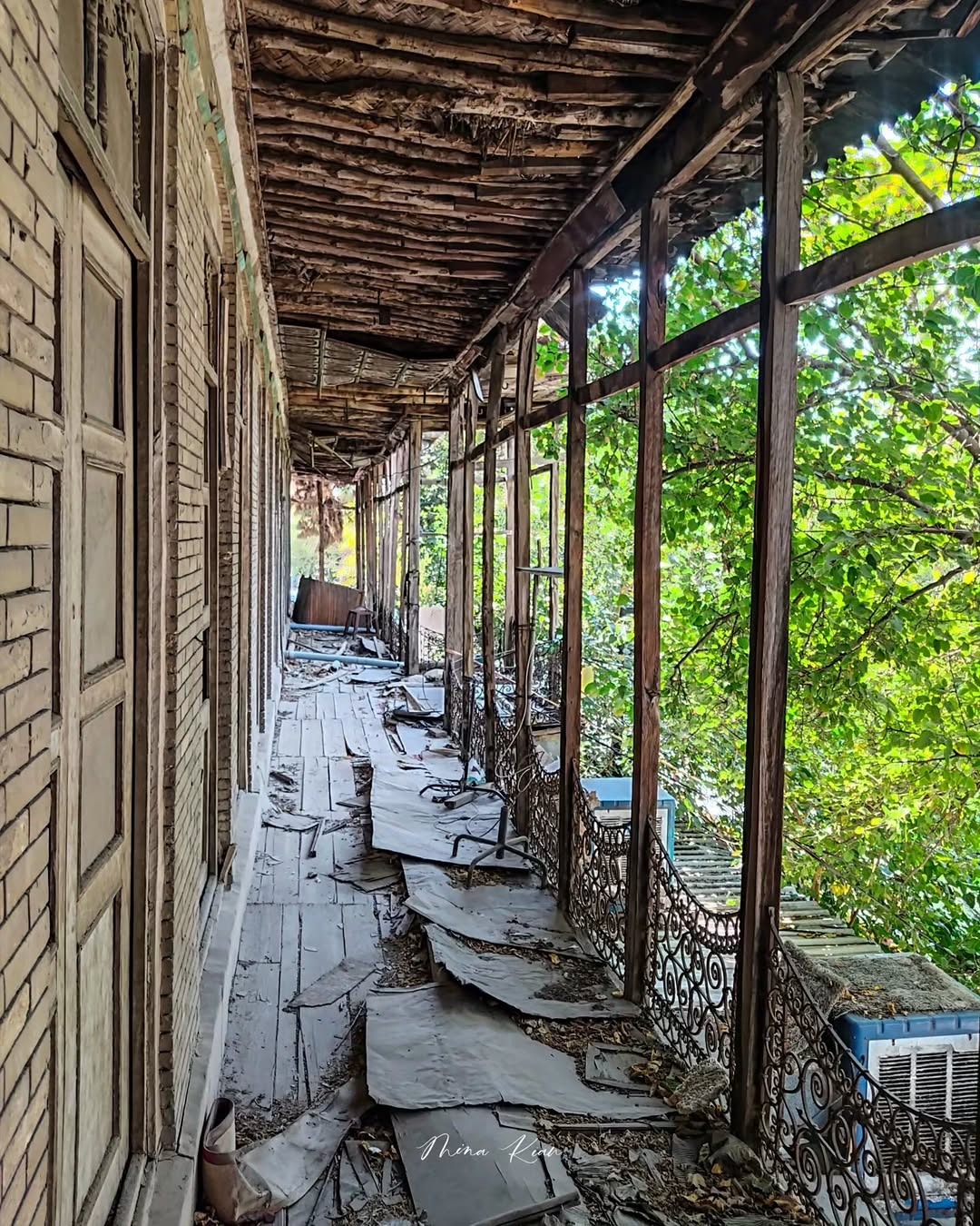 photo_2025-11-25_15-11-03_11zon