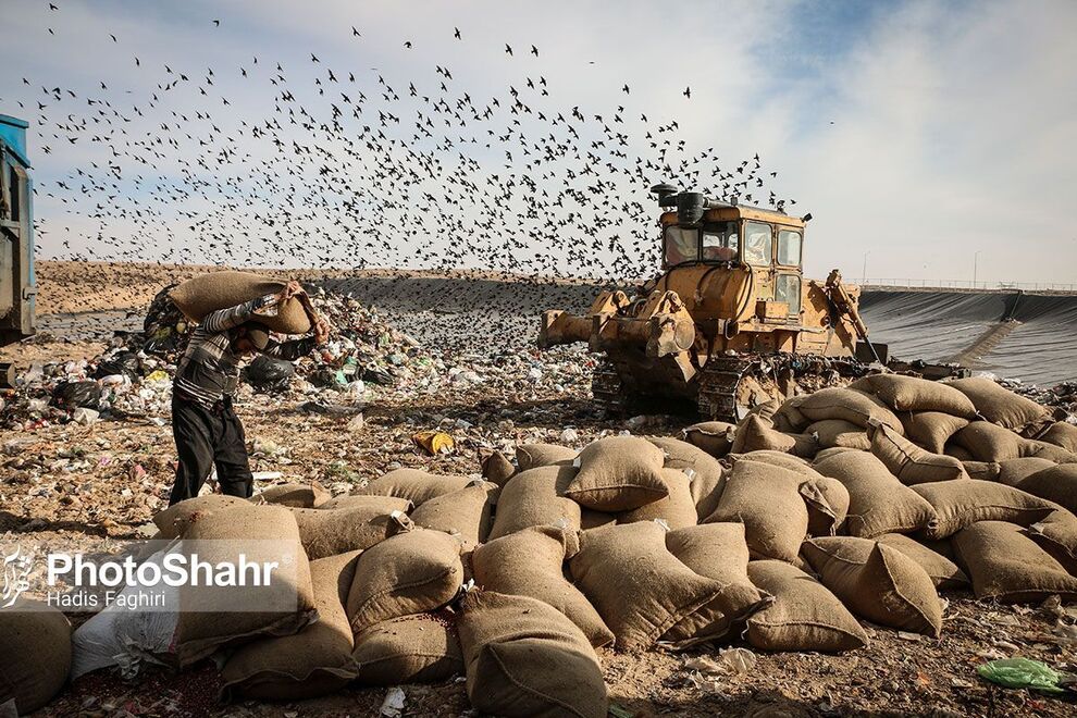 معدوم‌سازی ۹۲ تُن بادام زمینی کپک زده در مشهد