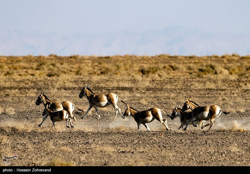 1404081012521620034542004