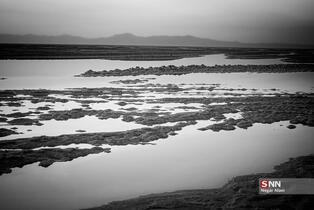 thm_3019243_377