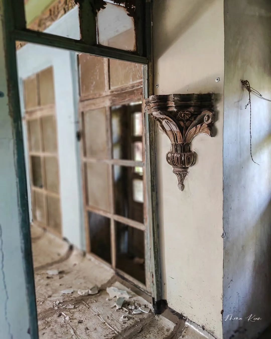 photo_2025-11-25_15-11-05_11zon