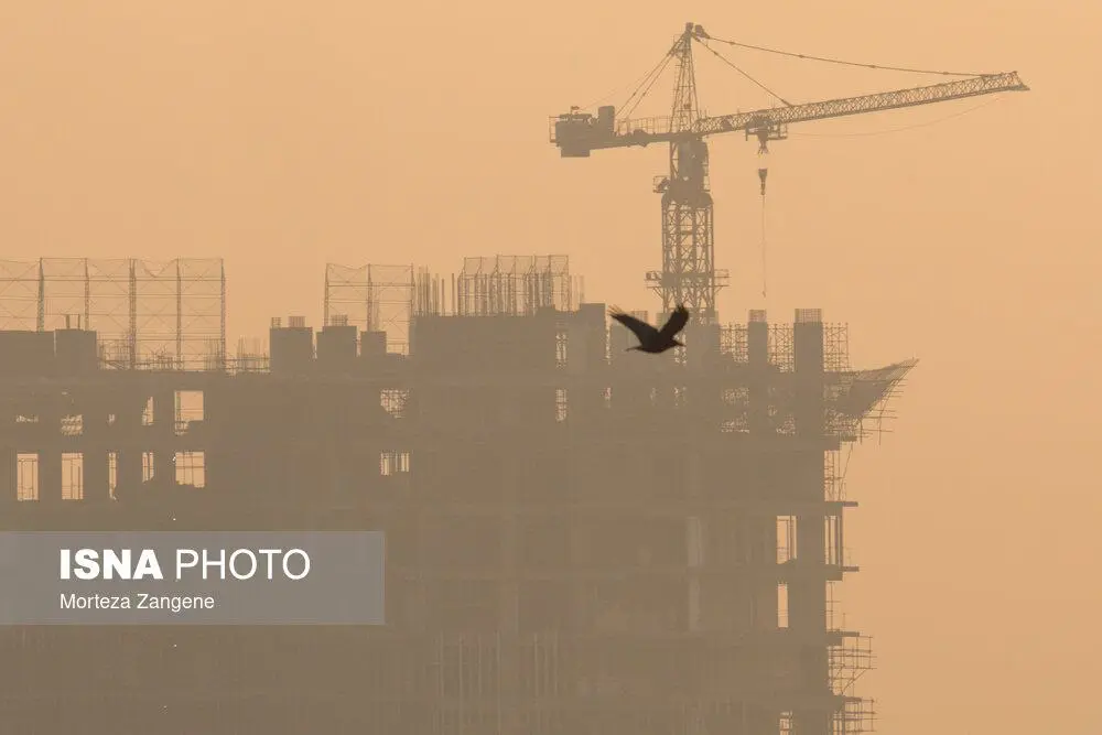 photo_2025-11-22_20-18-30