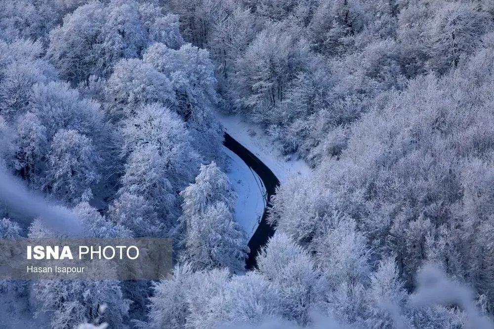 برف+در+سوادکوه (1)