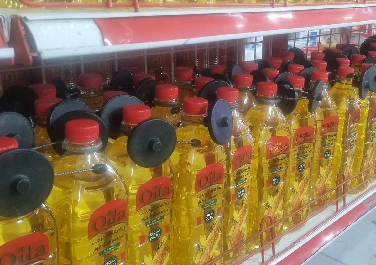 photo_2026-02-16_22-48-18