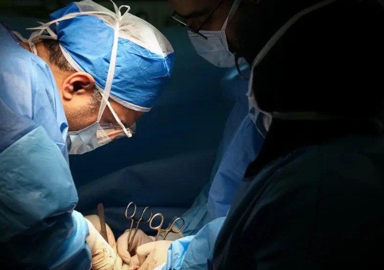 photo_2025-11-11_11-53-37