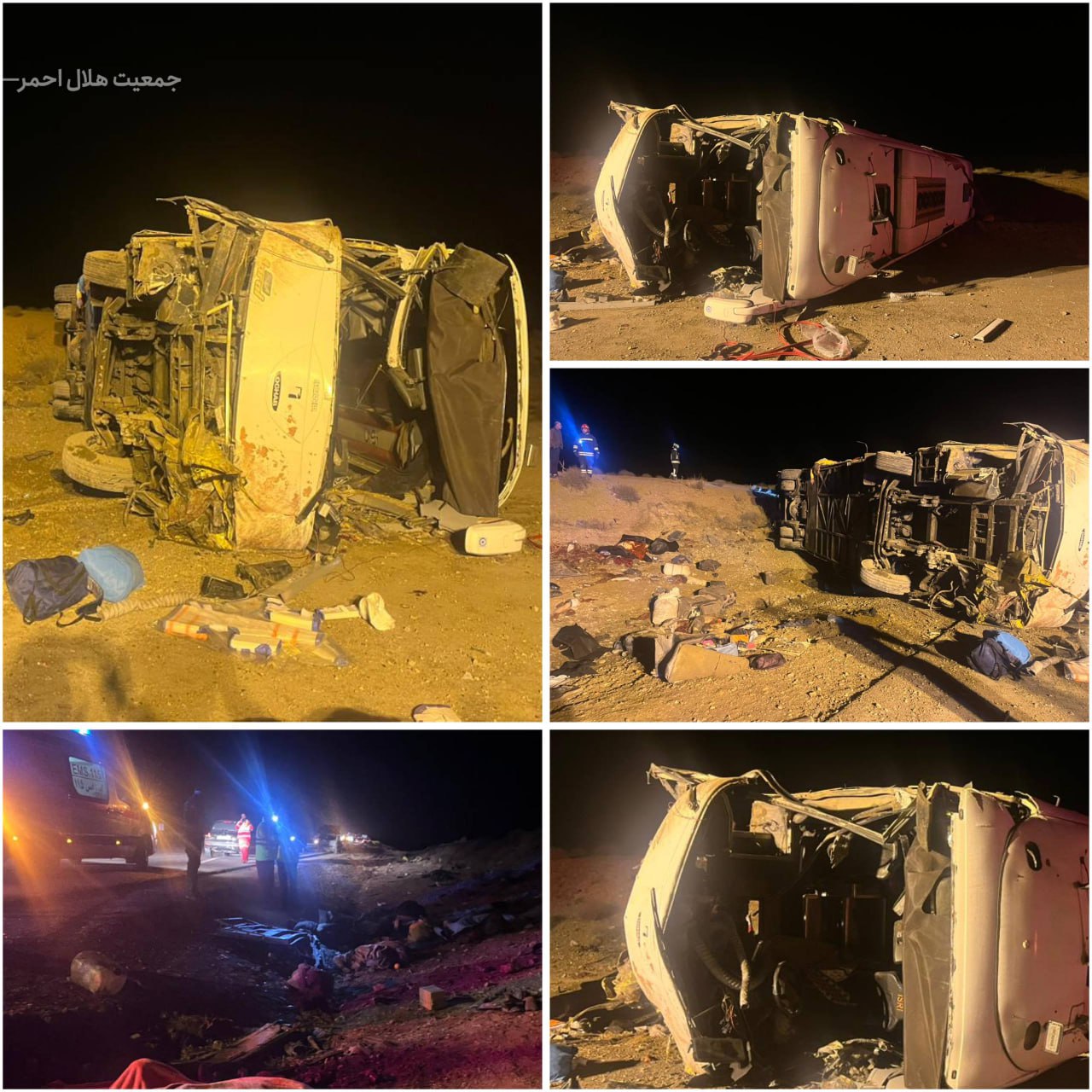 photo_2025-12-15_23-35-49