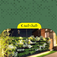 چکاد بام - شناور