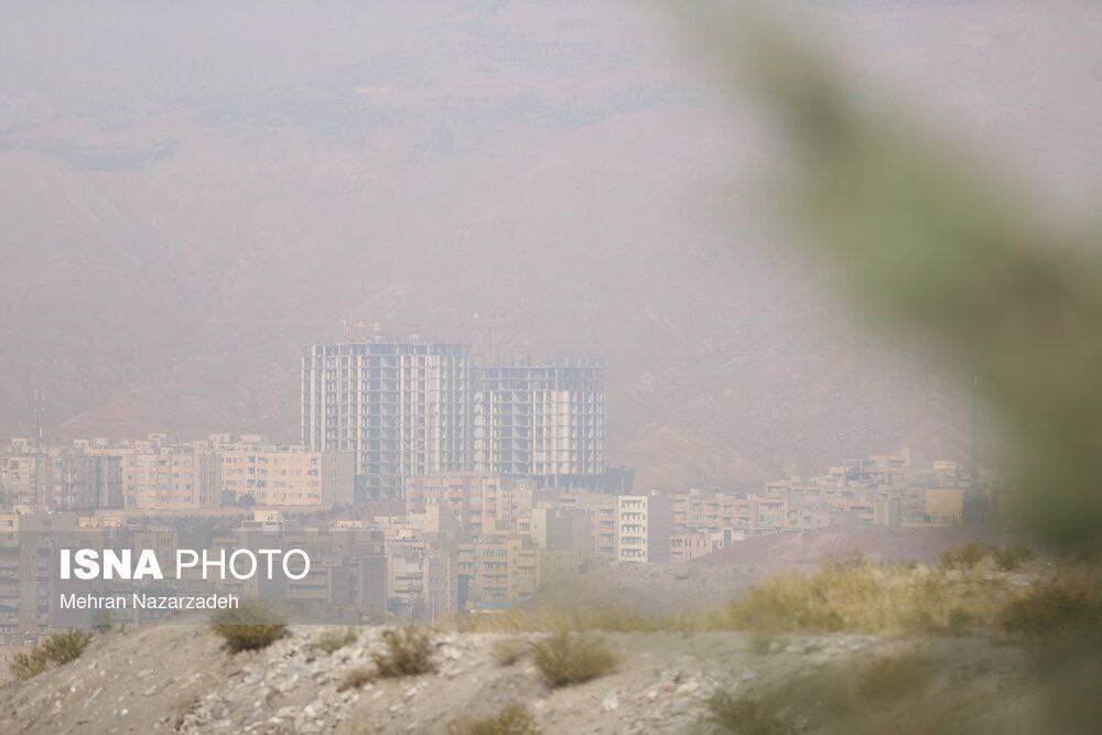 photo_2025-11-23_21-14-20