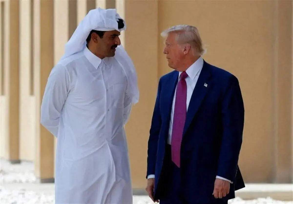 photo_2026-02-11_14-03-07