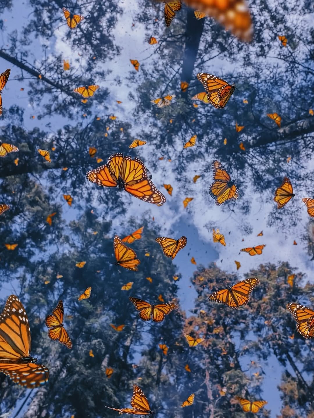 571431844_18552172084044850_8453869137333511375_n