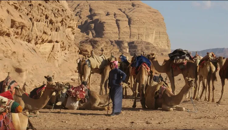 bought-a-camera-off-an-auction-7-68ff81e5d829d3e43f046b9a_11zon