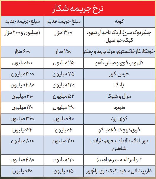 یک شغل غیرقانونی ولی نان و آبدار در ایران