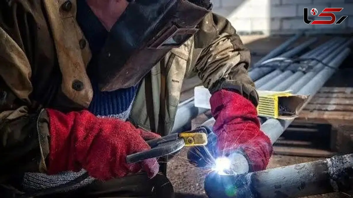 photo_2025-11-03_22-21-36