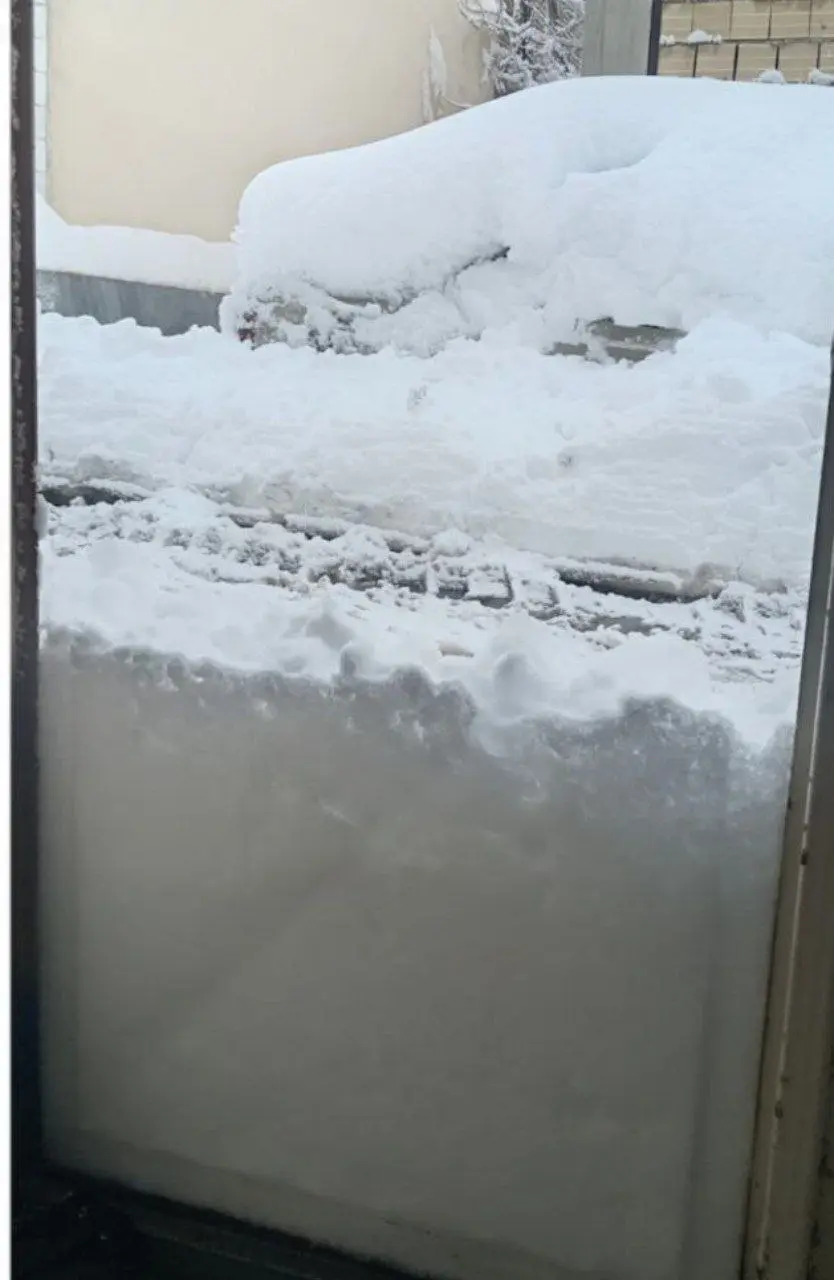 photo_2026-02-04_15-44-47