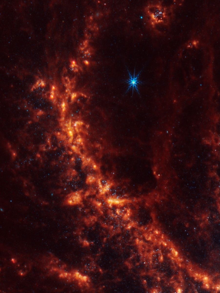 photo_2025-11-15_19-49-29 (2)