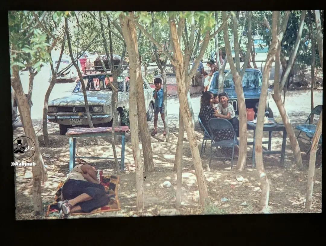 photo_2026-02-16_14-53-47