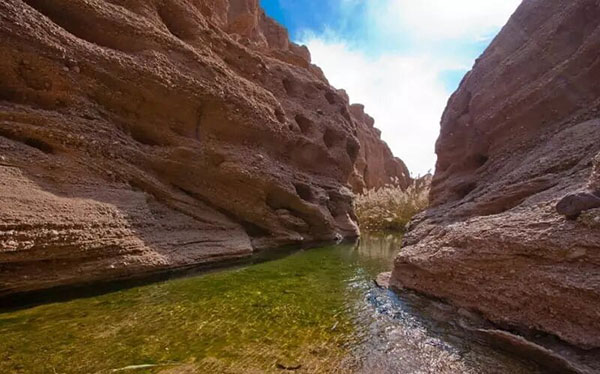 روستایی که در بهشت کویری طبس جا خوش کرده است