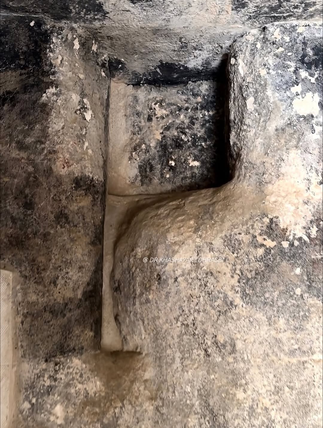 photo_2025-10-28_14-12-59 (3)