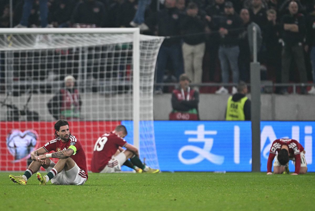 photo_2025-11-16_21-13-52