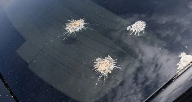 car-window-stains-scratch-free