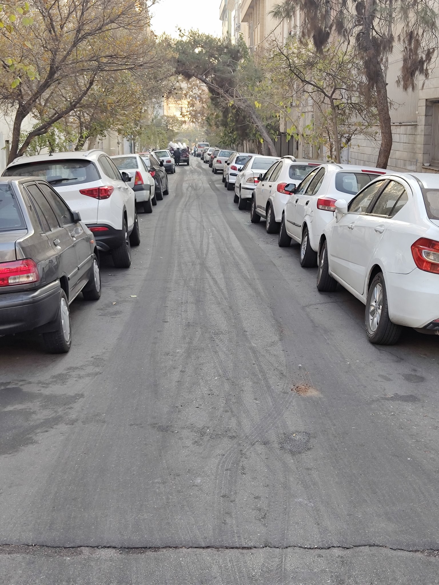 photo_2025-12-01_20-47-24