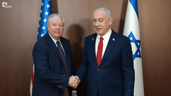 44d6368f50574856963c8a338b84489e