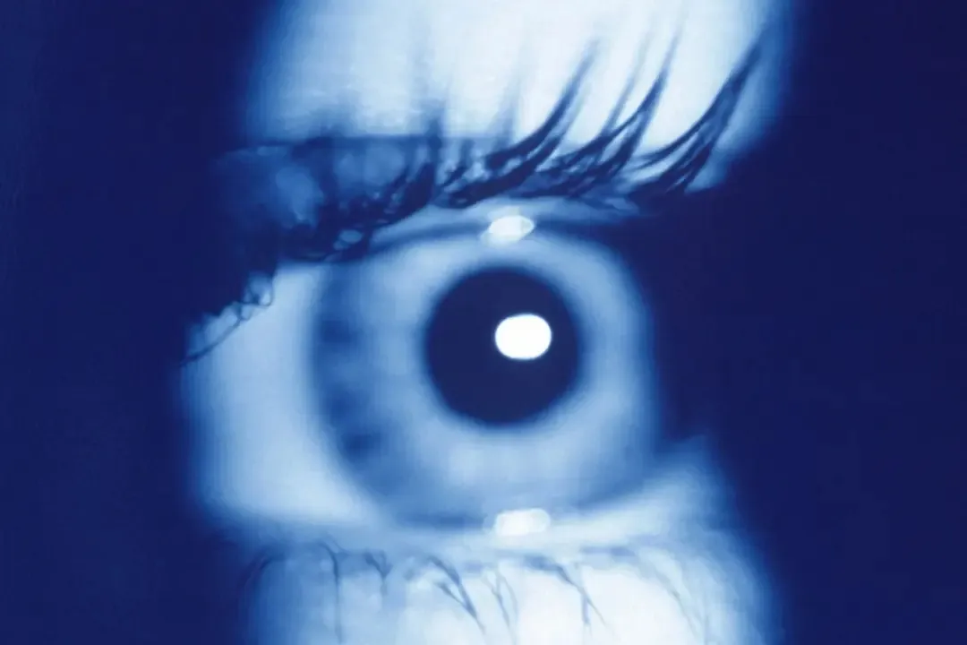 ed16e56dZTp3ZWJwfGY6MjE5MTcwNy5qcGd8ZnVpOjIxODE0MTh8bDpmYXx2OjE