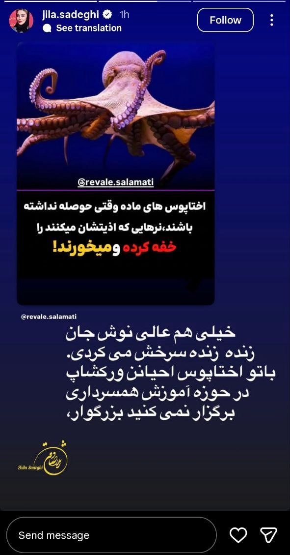 photo_2025-12-16_21-52-04