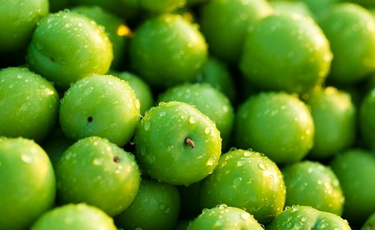 1111