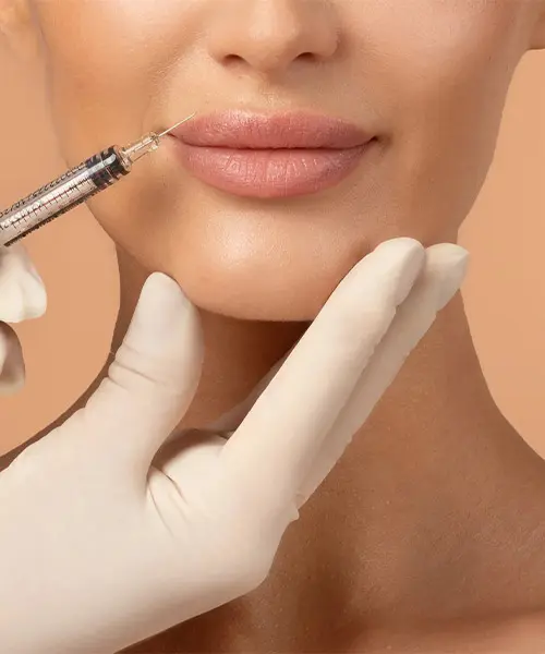 lip2