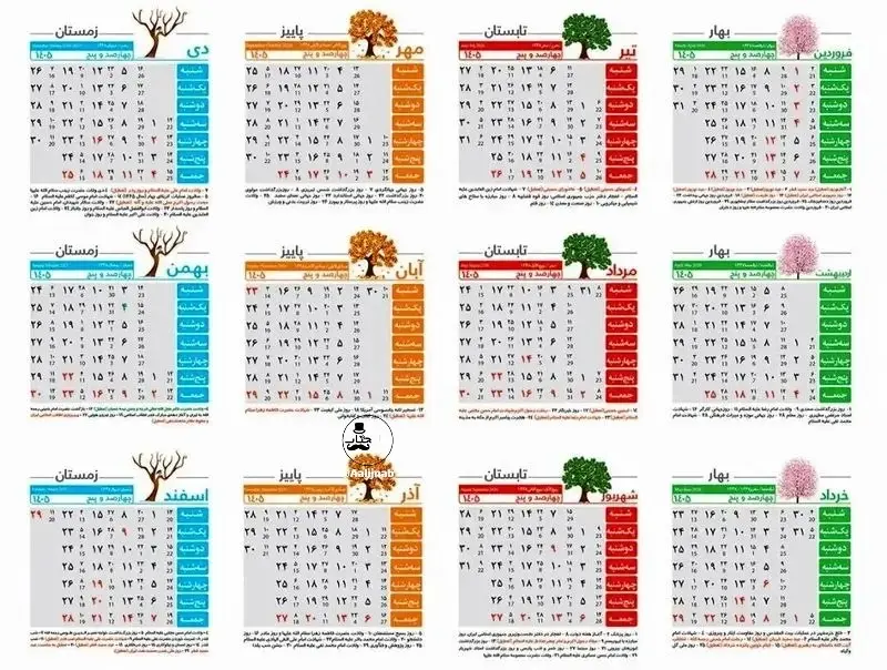 photo_2026-02-14_13-16-26