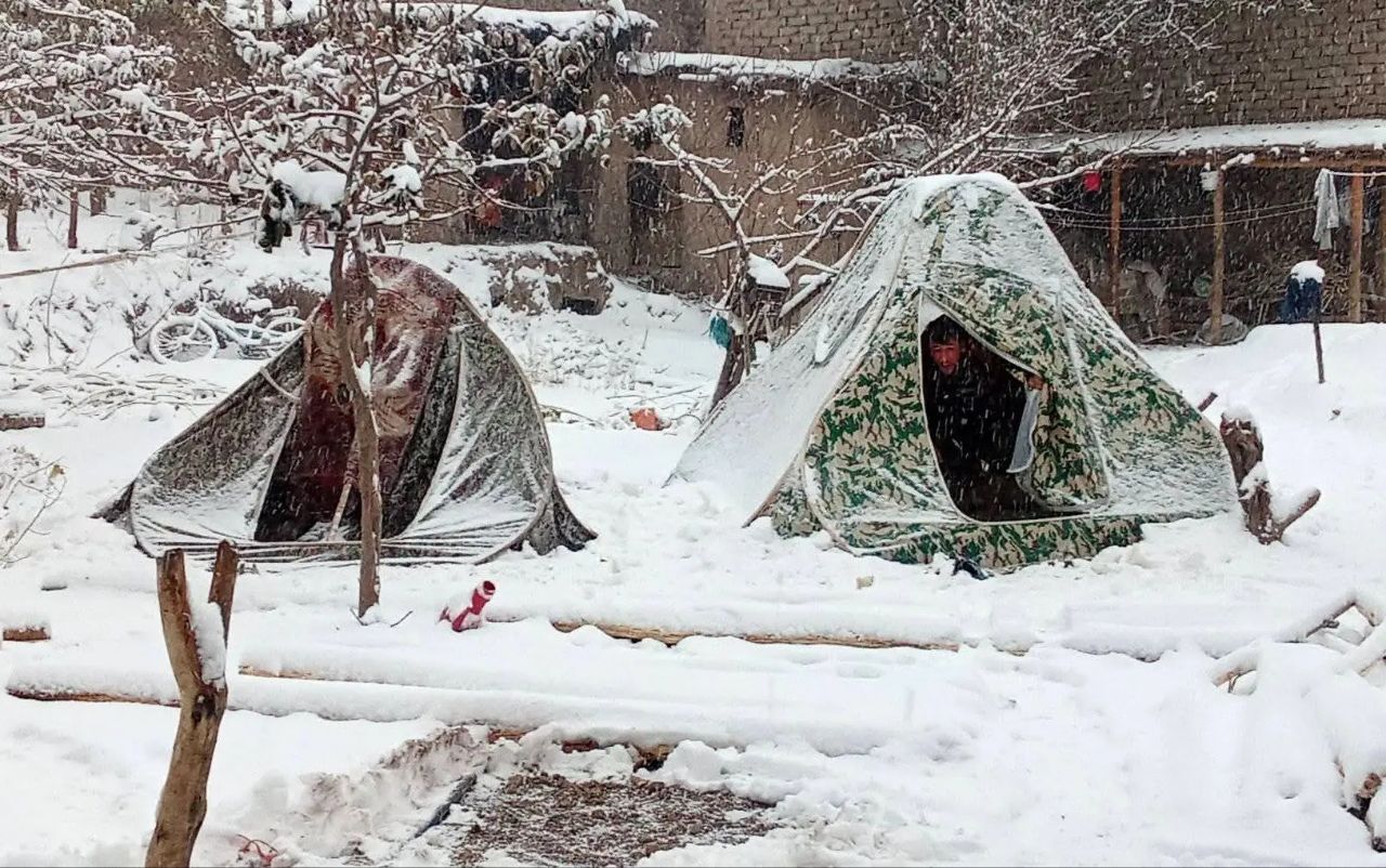 photo_2025-11-12_22-35-10