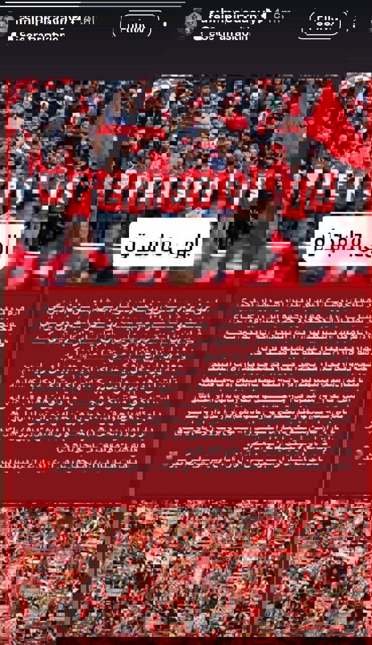 xsntnjw36