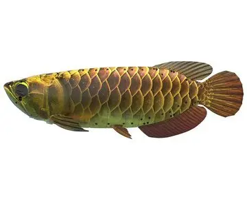 50fa32c30673