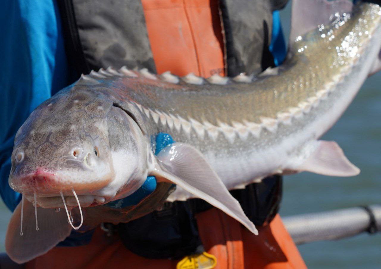 photo_2025-11-04_09-09-15