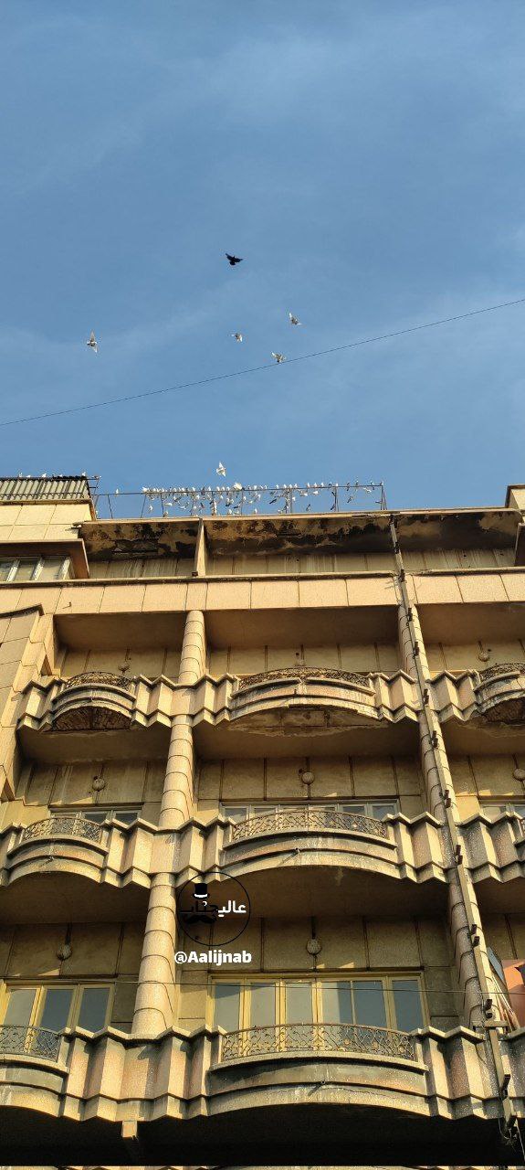 کفتربازی روی یک ساختمان تاریخی در لاله‌زار تهران!