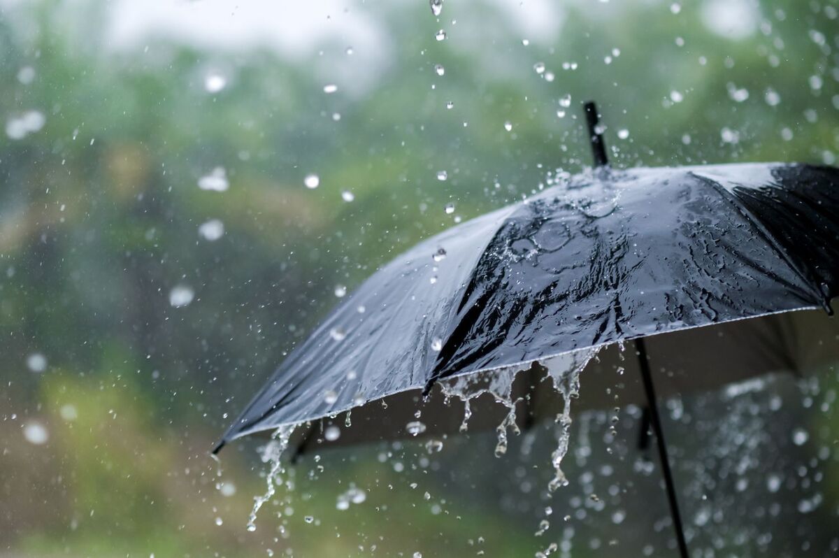 چتر بارندگی بر فراز این چند استان کشور