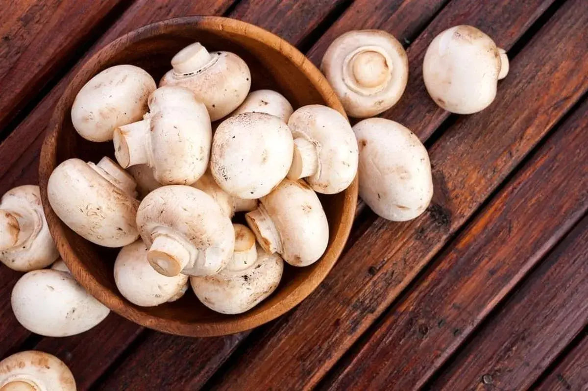 photo_2025-11-27_01-37-16