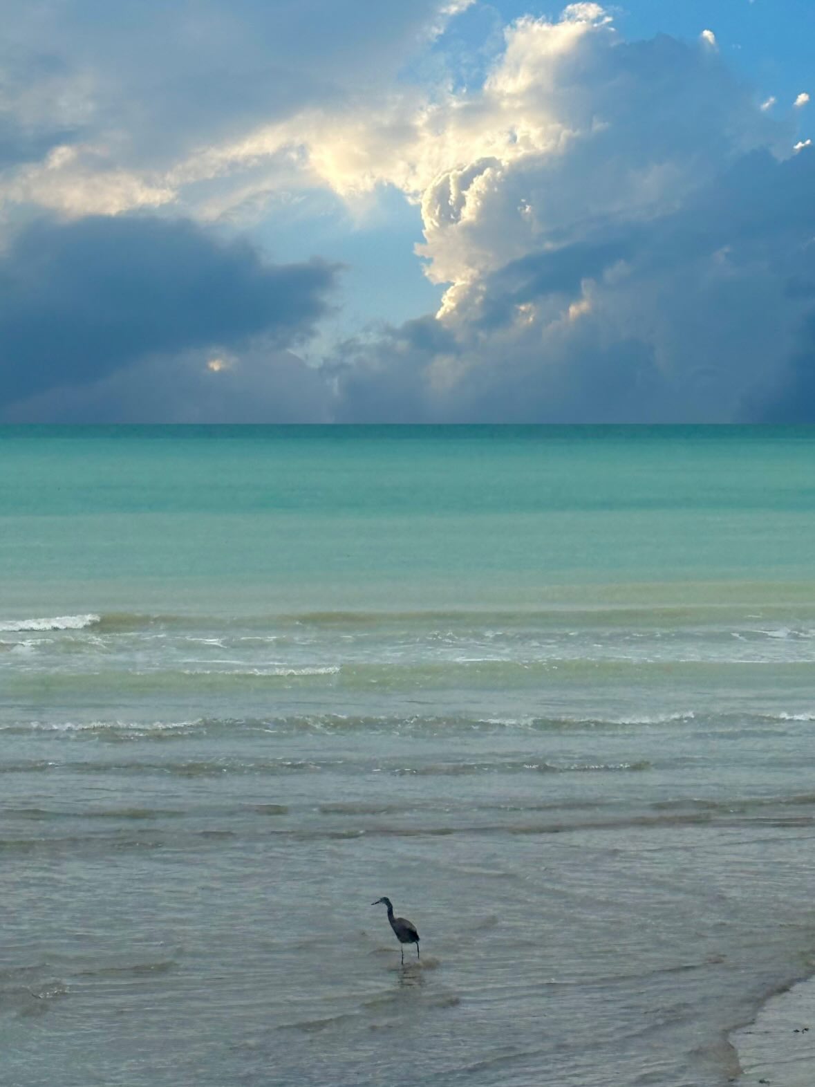 photo_2025-12-22_20-06-33