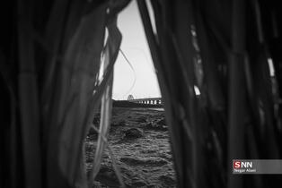 thm_3019249_119