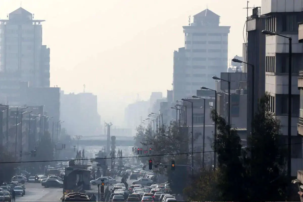 photo_2026-01-04_21-38-44