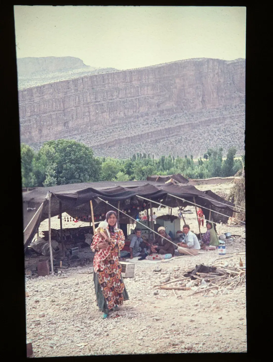 photo_2026-02-16_14-53-44