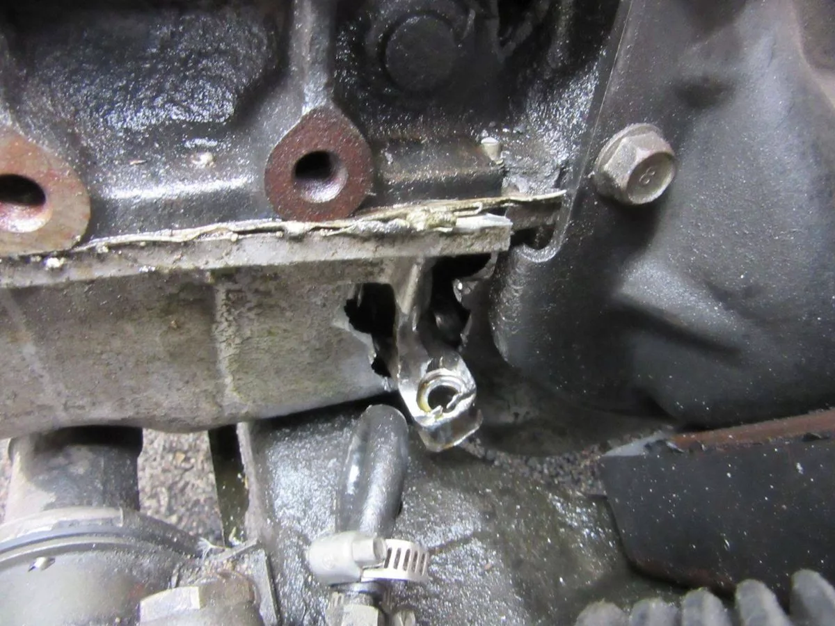 thrown-a-rod.jpg_11zon