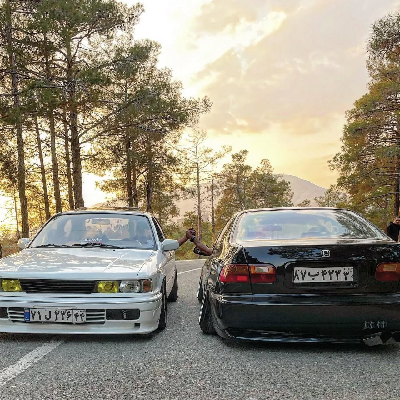 photo_2025-11-15_11-15-48