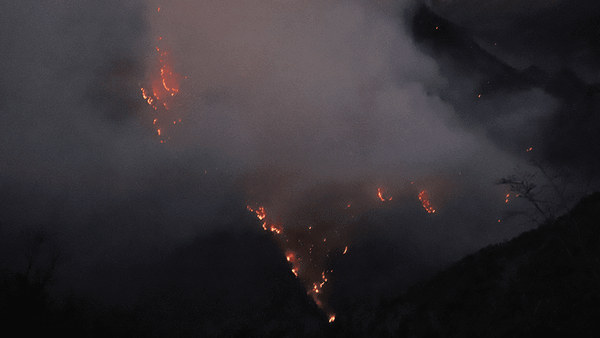 4f35c95c1a644389bb87300eb5263489