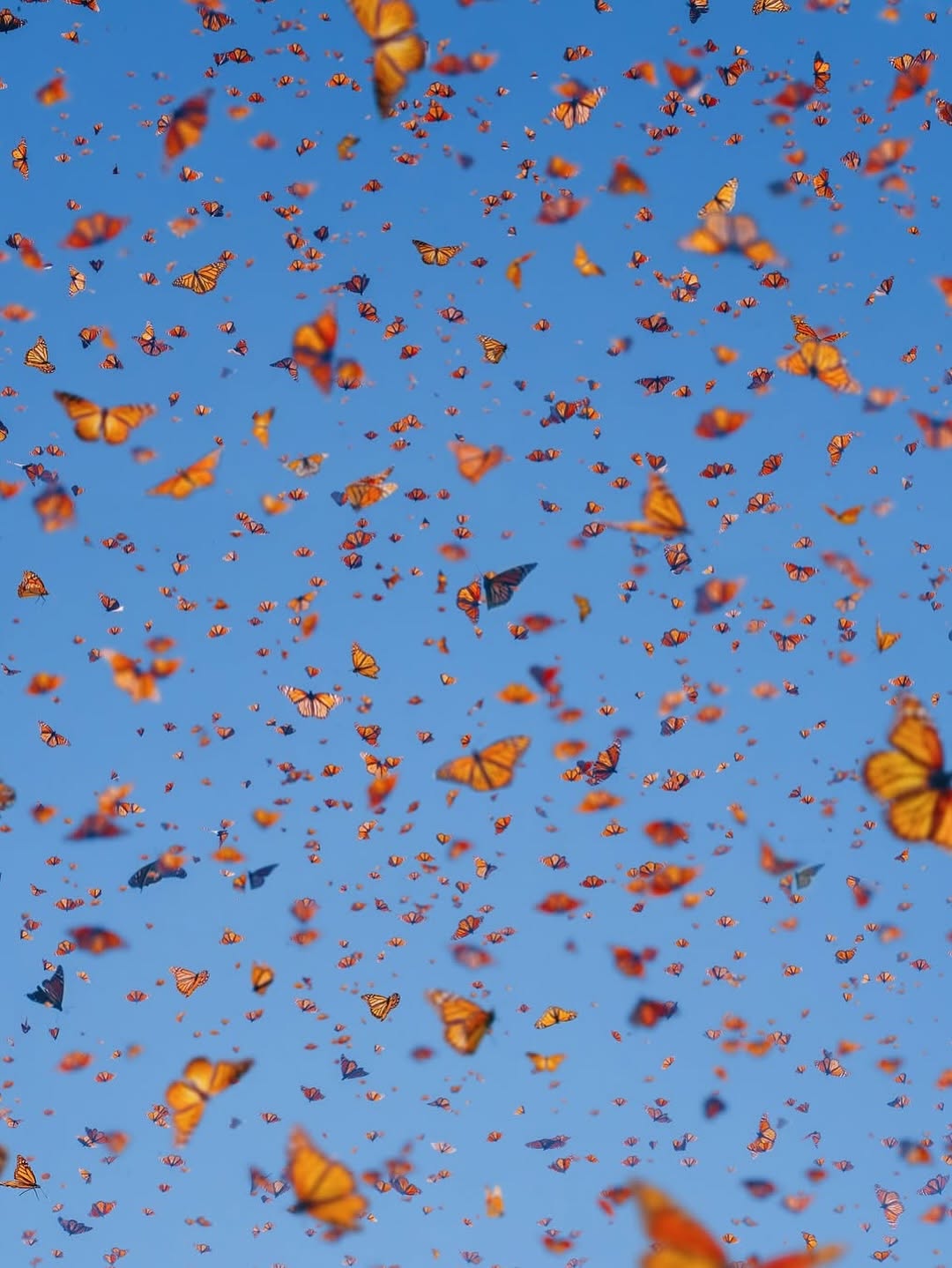 567050166_18552172003044850_3945325122632981043_n