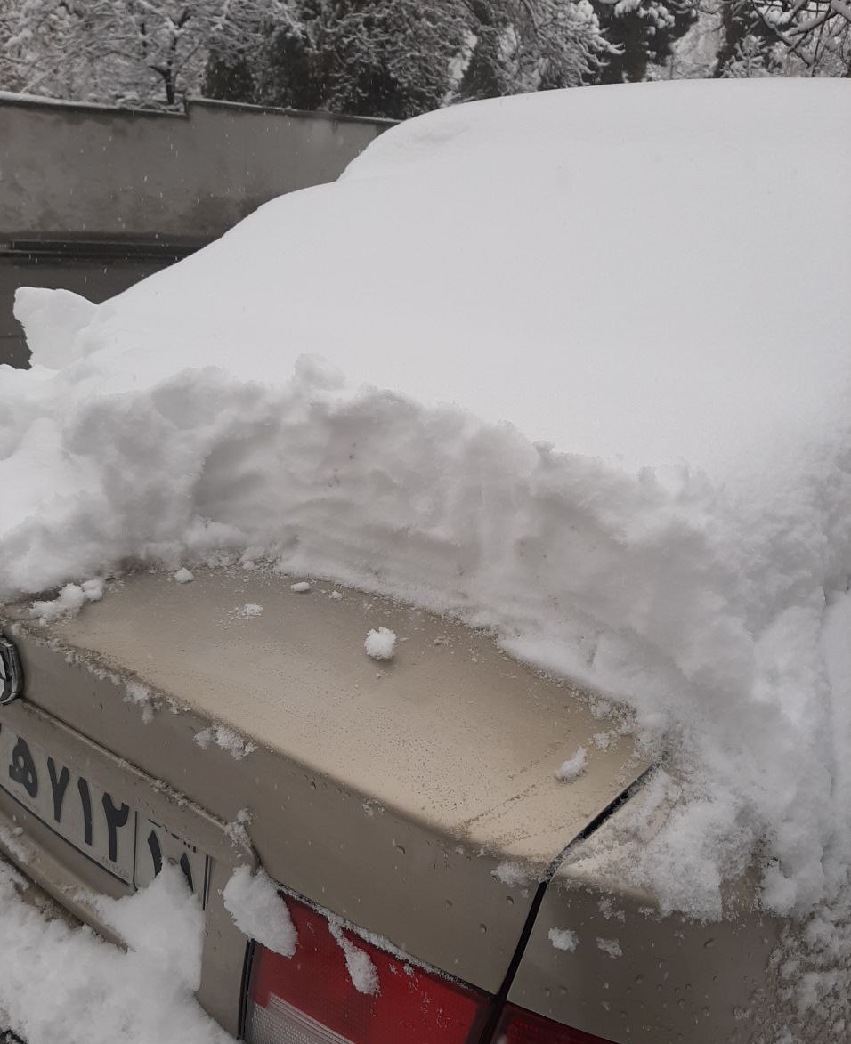 تصاویر دلربا از حجم بارش برف در تهران