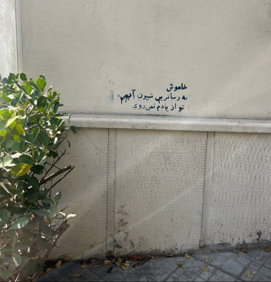 غمگین‌ترین دیوار نوشته‌ای که در سطح شهر دیده شد