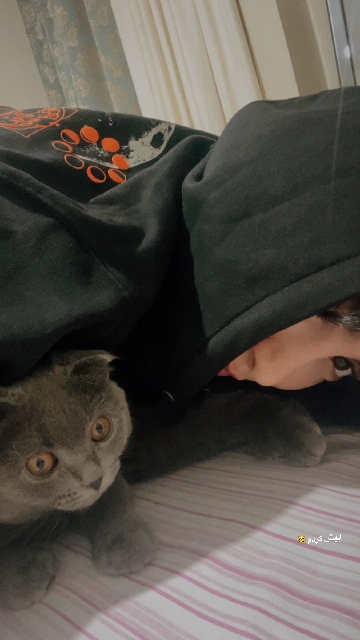 photo_2025-12-15_22-47-03